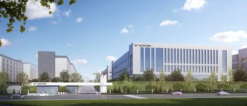 一把智能锁，解锁智能安防领域出海大市场 鹿客科技的技术创新与顺为系赋能